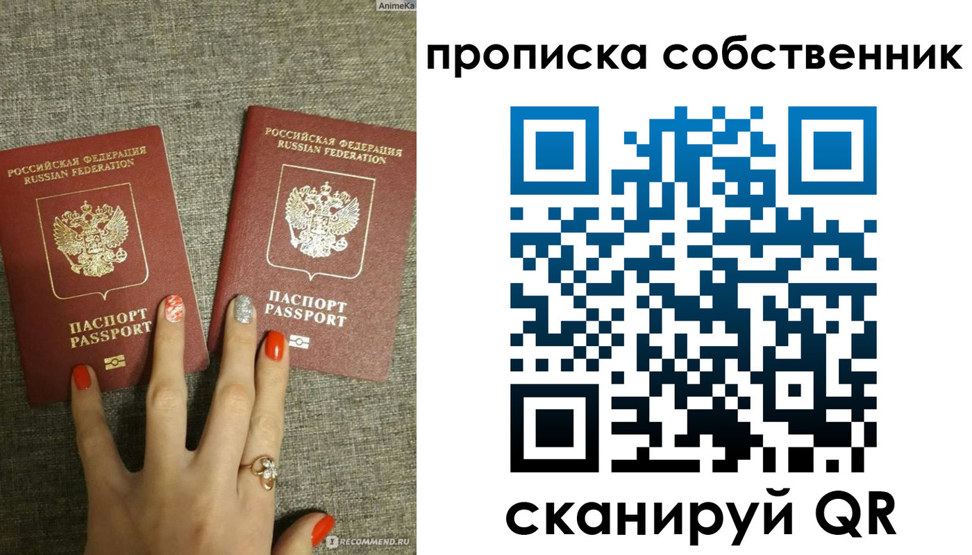 прописка поиск в Болотном