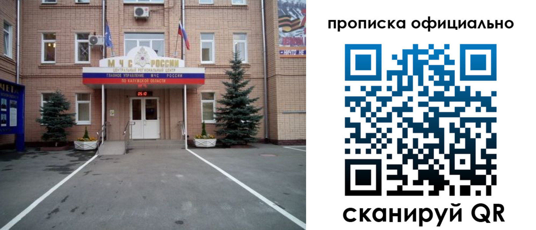 прописка для школы в Болотном